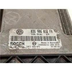 Recambio de centralita inyeccion para volkswagen golf v (1k1)(2003) 2.0 tdi 16v referencia OEM IAM 03G906016FM EDC16U1  