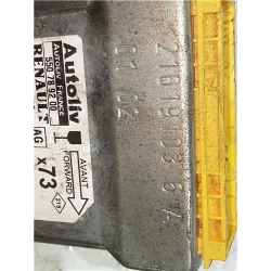Recambio de centralita airbag para renault vel satis (bj0)(2002) 3.0 dci (bj0n) referencia OEM IAM 550789200  