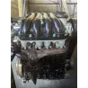 Recambio de motor completo para seat ibiza (6k1)(08.1999) 1.9 sdi referencia OEM IAM AGP  