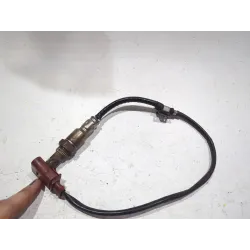 Recambio de sonda lambda para volkswagen golf v (1k1) 1.4 tsi referencia OEM IAM 03C906262Q  