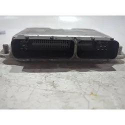 Recambio de centralita inyeccion para volkswagen golf iv (1j1) 1.9 tdi referencia OEM IAM 038906019DD  