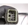 Recambio de piloto trasero izquierdo para kia carnival (1999) 2.9 td referencia OEM IAM OK55251140  