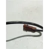 Recambio de captador volante motor para citroën berlingo (2002) collection (rhy / dw10td) referencia OEM IAM   