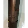 Recambio de inyector para seat leon (1m1)(11.1999) tdi referencia OEM IAM 038130202A  