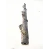 Recambio de rampa inyectores para bmw 5 (e39) 530 d referencia OEM IAM 0281002405 96326002791  