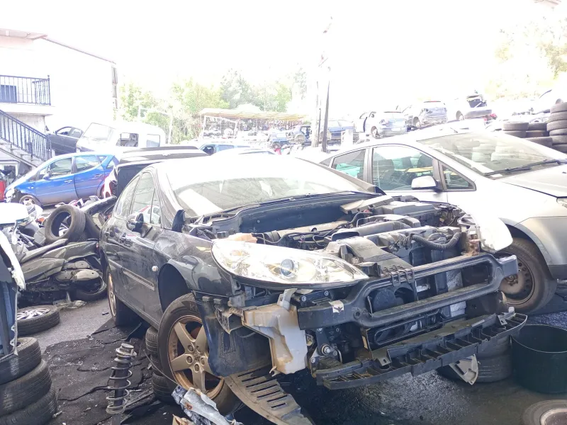 peugeot 407 sw (6e_, 6d_) del año 2005