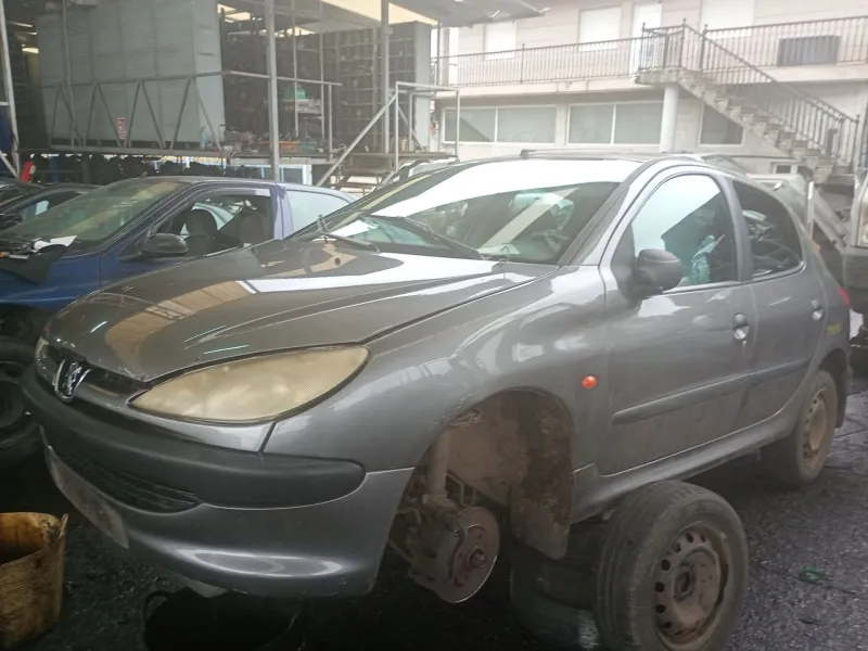 peugeot 206 hatchback (2a/c) del año 1999