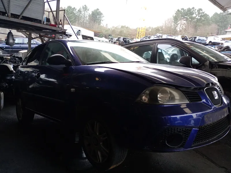 seat ibiza iii (6l1) del año 2002