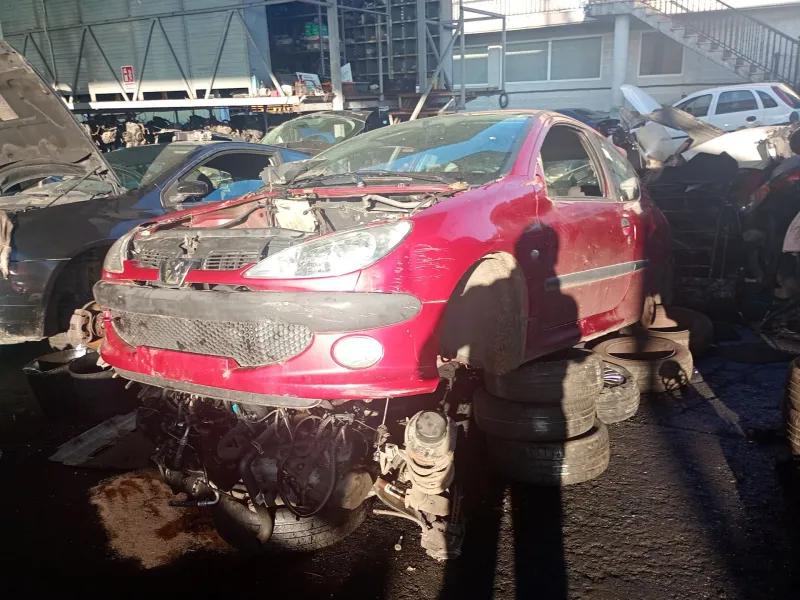 peugeot 206 hatchback (2a/c) del año 2001