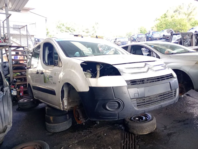 citroën berlingo multispace (b9) del año 2010