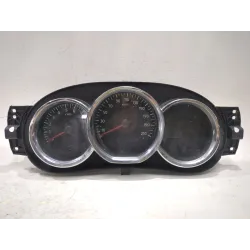 CUADRO COMPLETO 248101921R 2131255 