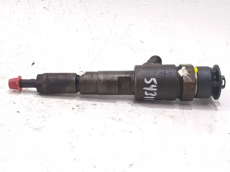 Recambio de inyector para citroën c3 i (fc_, fn_) 1.4 hdi referencia OEM IAM 0445110252  