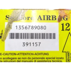 Recambio de centralita airbag para fiat ducato furgón (244) 2.3 jtd referencia OEM IAM 1356789080  