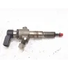 Recambio de inyector para ford fiesta v (jh_, jd_) 1.4 tdci referencia OEM IAM 9655304880  