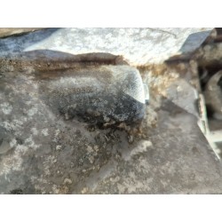 Recambio de caja cambios manual para citroën c8 (2002) 2.2 hdi referencia OEM IAM 20MB09 55203055C 9431366021  