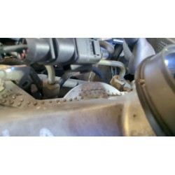 Recambio de motor completo para seat ibiza iii (6l1) 1.9 sdi referencia OEM IAM ASY  