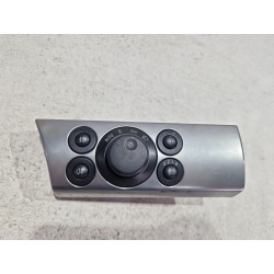 MANDO LUCES 13100124 