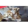 Recambio de caja cambios manual para opel astra h (a04) 1.7 cdti (l48) referencia OEM IAM F23 87654653  
