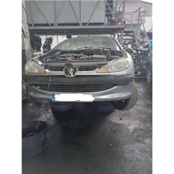 Recambio de despiece completo para peugeot 206 (1998) 1.9 d referencia OEM IAM   