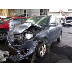 SKODA FABIA II (542)