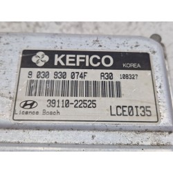 Recambio de centralita inyeccion para hyundai accent (lc)(2000) 1.3 referencia OEM IAM 3911022525  
