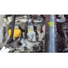 Recambio de motor completo para chevrolet epica (2006) 2.0 ltx [2,0 ltr. - 110 kw diesel cat] referencia OEM IAM Z20S1 040839K  