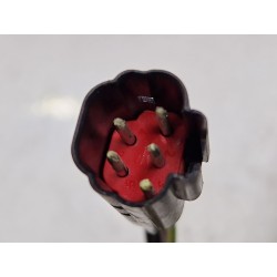 Recambio de retrovisor derecho para ford focus i (daw, dbw) 1.8 tdci referencia OEM IAM 3004534R  