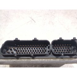 Recambio de centralita inyeccion para volkswagen golf iv (1j1) 1.9 tdi referencia OEM IAM 038906018J  