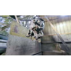 Recambio de caja cambios manual para bmw 3 (e46) 320 i referencia OEM IAM 81229407558  