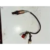 Recambio de sonda lambda para peugeot 306 3/5 pt. (s1)(06.1996) referencia OEM IAM 0258003239  