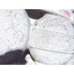 Recambio de caja cambios manual para renault megane iii fastback (bz0_) 1.2 referencia OEM IAM TL4068  