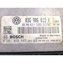 Recambio de centralita inyeccion para seat ibiza iv (6j5, 6p1) 1.9 tdi referencia OEM IAM 03G906013K  