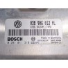 Recambio de centralita inyeccion para volkswagen polo iv (9n_, 9a_) 1.9 sdi referencia OEM IAM 038906012HL  