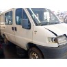 fiat ducato caja/chasis (230_) del año 1997