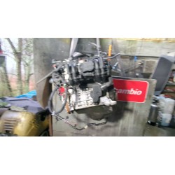 Recambio de motor completo para seat ibiza (6k1)(08.1999) 1.4 referencia OEM IAM AUD  