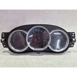 CUADRO COMPLETO 248102383R 