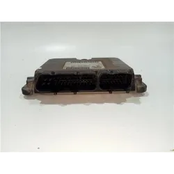Recambio de centralita inyeccion para fiat bravo (182)(1995) 1.9 d referencia OEM IAM IAW49F89  