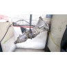 Recambio de caja cambios manual para jeep cherokee 2.5 referencia OEM IAM 50317717 52108046  