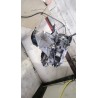Recambio de caja cambios manual para renault scénic ii (jm0/1_) 1.9 dci (jm0g, jm12, jm1g, jm2c) referencia OEM IAM JC5113  