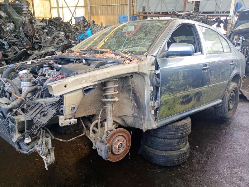 skoda octavia i (1u2) del año 2004