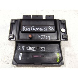 Recambio de centralita inyeccion para kia carnival ii (gq) 2.9 crdi referencia OEM IAM 391024X520  