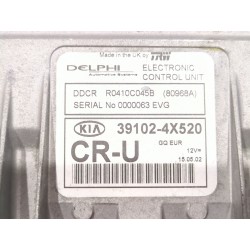 Recambio de centralita inyeccion para kia carnival ii (gq) 2.9 crdi referencia OEM IAM 391024X520  