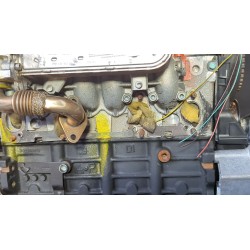 Recambio de motor completo para seat ibiza iii (6l1) 1.9 tdi referencia OEM IAM AXR  