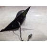 Recambio de retrovisor derecho para chrysler neon pl (1994) 2.0 16v referencia OEM IAM E13011674  