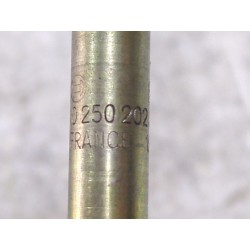 Recambio de calentadores para citroën xsara (n1) 2.0 hdi 90 referencia OEM IAM 0250202032  