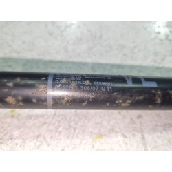 Recambio de freno puerta delantero izquierdo para bmw 7 (e65, e66, e67) 730 ld referencia OEM IAM 51217M2443  