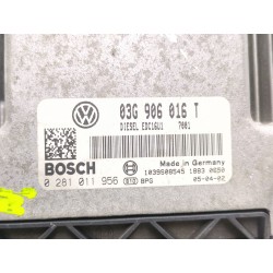 Recambio de centralita inyeccion para volkswagen golf v (1k1) 2.0 tdi referencia OEM IAM 03G906016T  