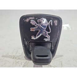 Recambio de bombin porton trasero para peugeot 306 (7b, n3, n5) 2.0 hdi 90 referencia OEM IAM   