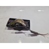 Recambio de faro antiniebla derecho para renault 19 ii (b/c53_) 1.4 referencia OEM IAM e286  