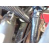 Recambio de motor completo para seat ibiza iii (6l1) 1.9 sdi referencia OEM IAM ASY  